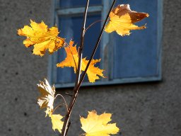 октябрь 2012 332